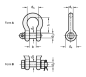 Preview: GN 585 Schäkel, geschweift