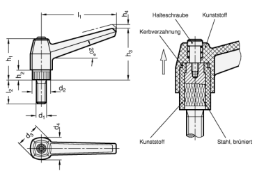 Preview: GN 500 Verstellbare Klemmhebel, Kunststoff
