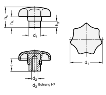GN 6336.2 Sterngriffe, Thermoplast