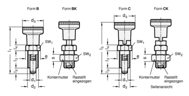 Preview: GN 617.2 Rastbolzen mit Kunststoff - Führung