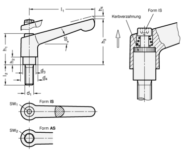 Preview: GN 300.6 Verstellbare Edelstahl-Klemmhebel, elektropoliert, Außengewinde