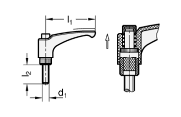 Preview: GN 603.1 Verstellbare Klemmhebel, Edelstahl-Gewindeschraube