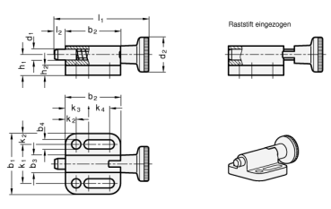 Preview: GN 417 Rastbolzen mit Rastsperre