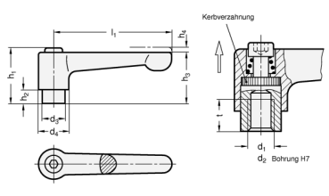 Preview: GN 302 Verstellbare Klemmhebel, Griff gerade, Buchse Stahl