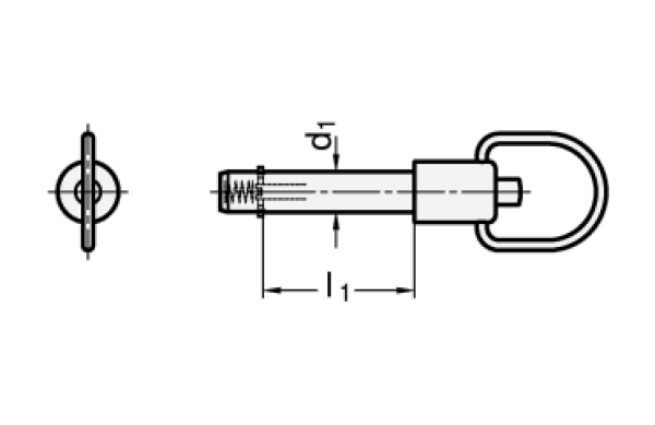 GN 214.2 Steckbolzen