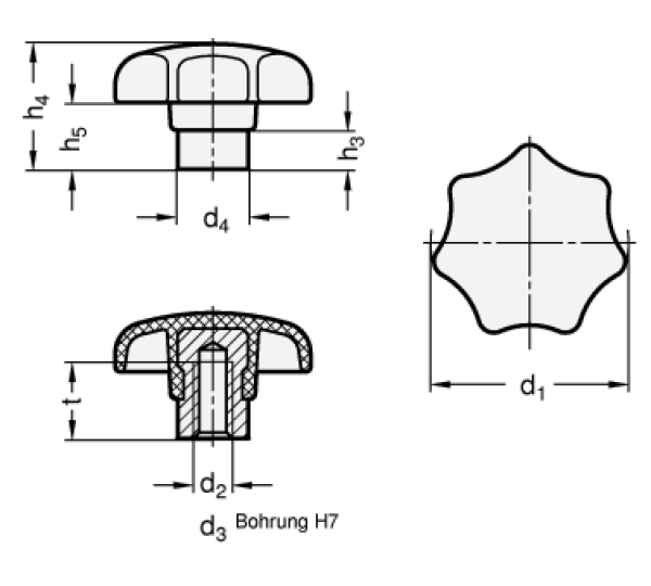 GN 6336.2 Sterngriffe, Thermoplast