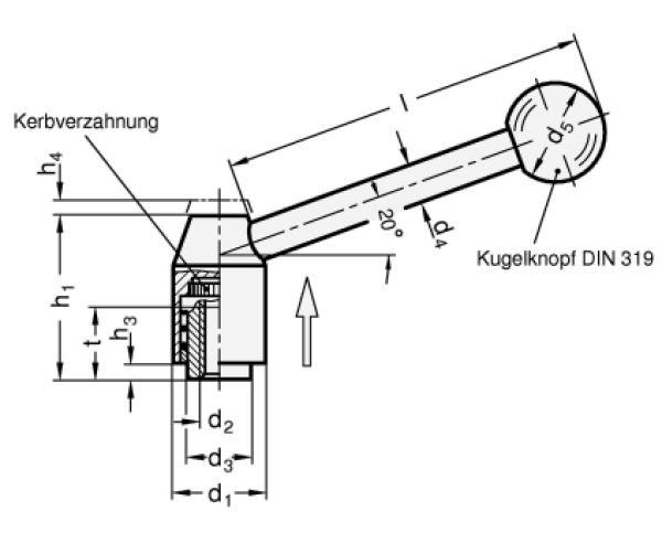 GN 212.5 Verstellbare Spannhebel, Edelstahl