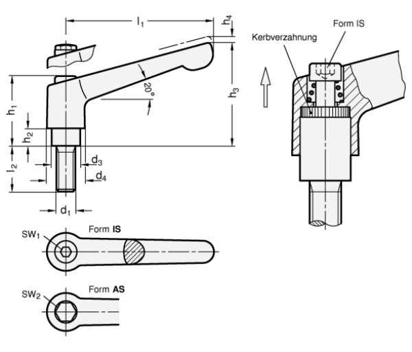 GN 300.6 Verstellbare Edelstahl-Klemmhebel, elektropoliert, Außengewinde