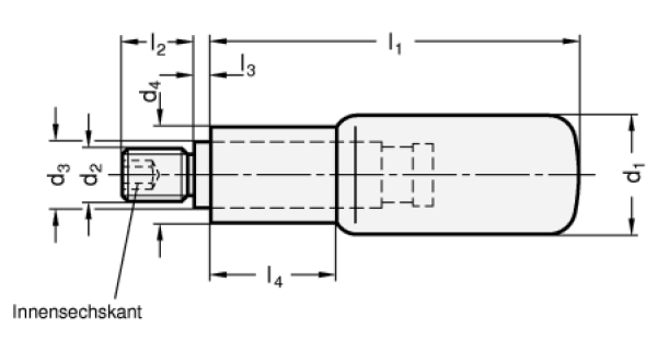 GN 798.1 Drehbare Zylindergriffe Achsteil Edelstahl