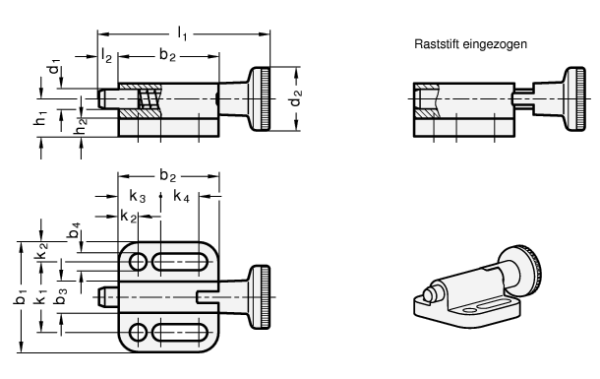 GN 417 Rastbolzen mit Rastsperre