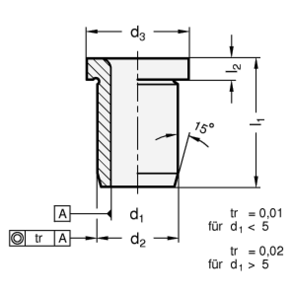 DIN 172 Positionierbuchsen (Bohrbuchsen)