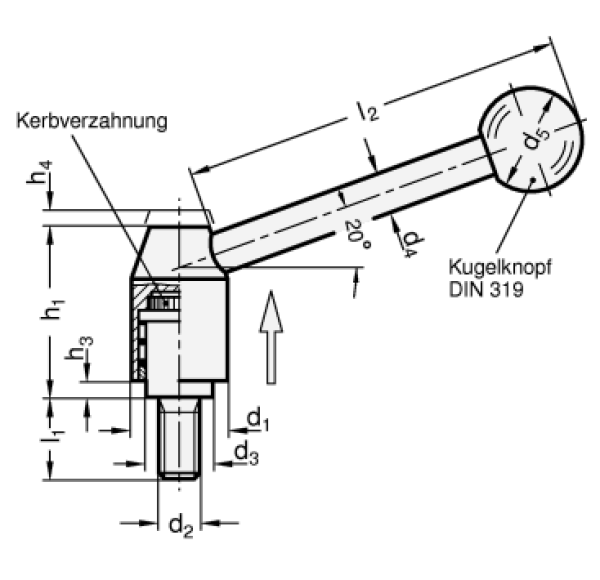 GN 212.5 Verstellbare Spannhebel, Edelstahl